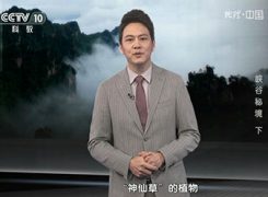 CCTV10《地理中國(guó)》解密”神仙草“茅巖莓